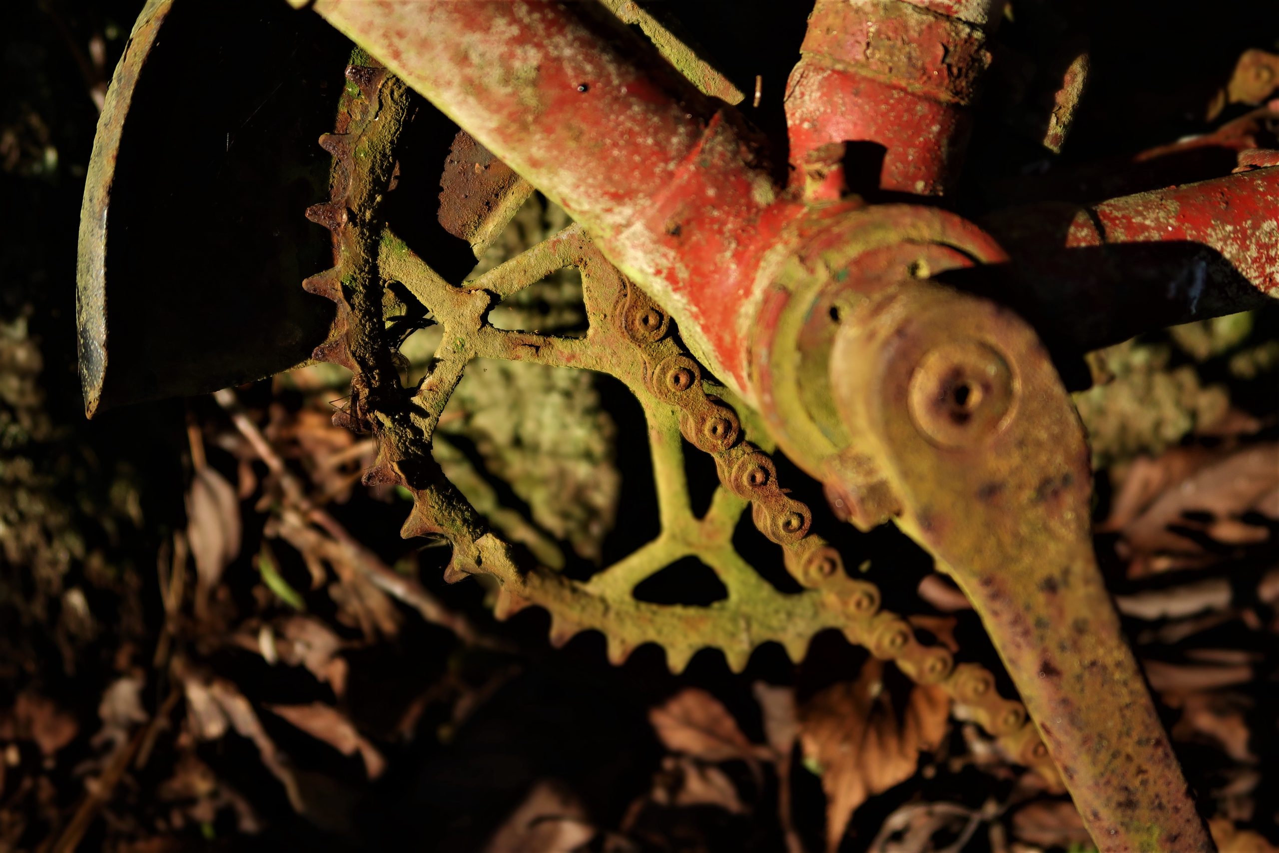 Rustic1
